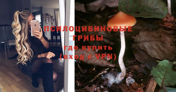 бутират Михайловск