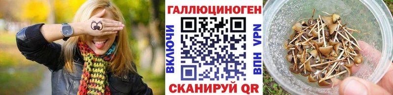 Псилоцибиновые грибы GOLDEN TEACHER Заозёрный